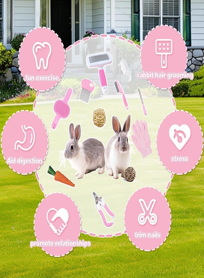 PRRPRR 16 Pcs Bunny Grooming Kit,Rabbit Litter Box, Bunny Toys,Blankets with Cleaning Supplies,Pet Toilet Potty with Detachable Hanging Pet Cage Bowl Suitable for Rabbit,Guinea Pig(Pink) (Pink (16PCS)) - Image 3